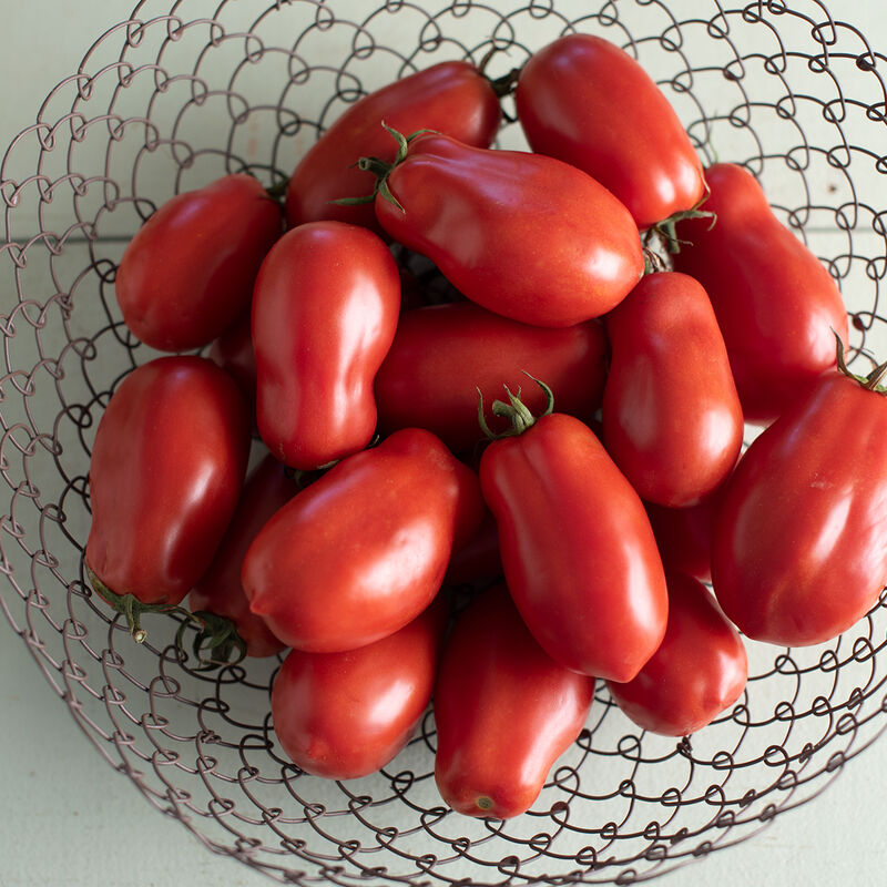 Roma Tomatoes (1.5 lbs)