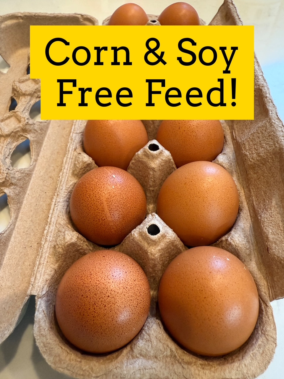 12 Count Chicken EGGS (Corn & Soy Free Feed!)