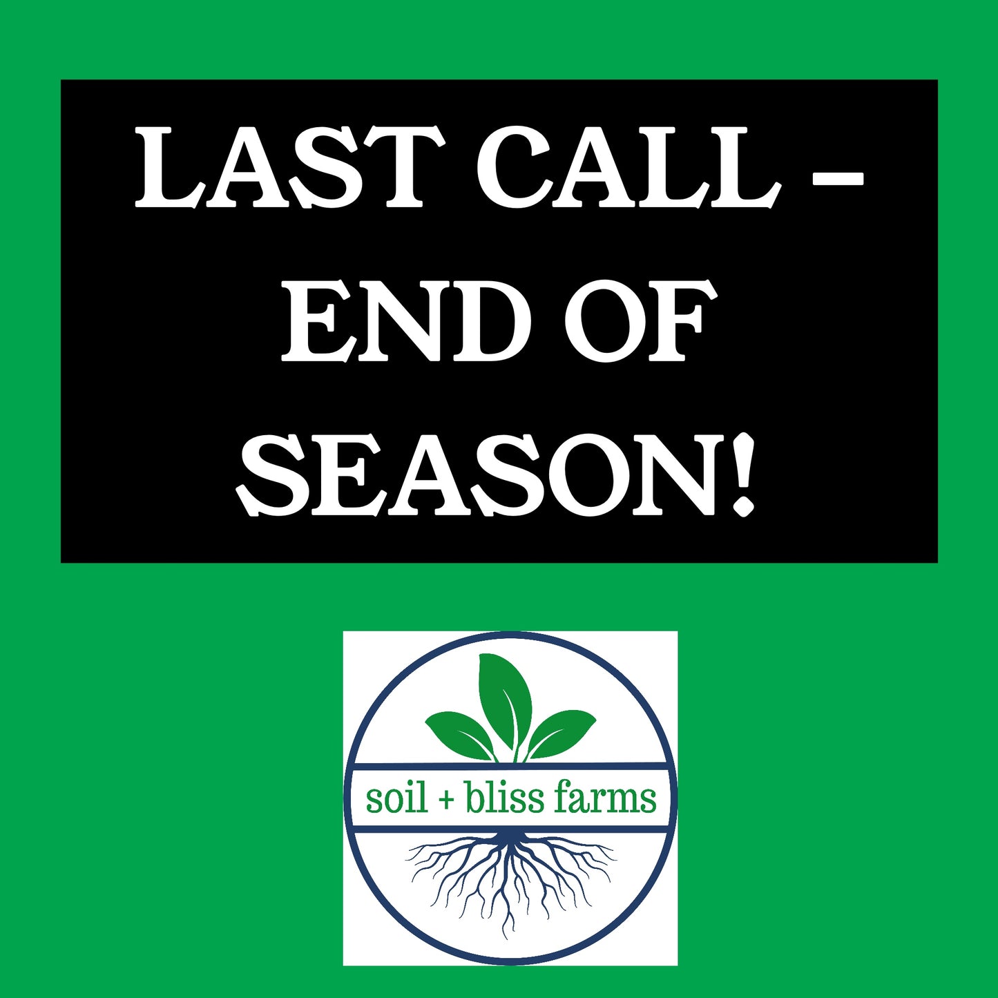 *Grab items while you can!