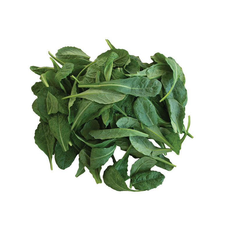 NEW! 1/2lb - Baby Kale