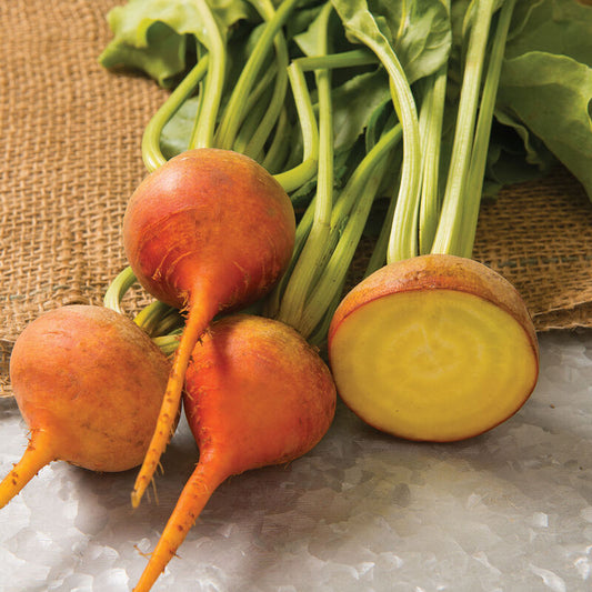 Golden Beets (1 bunch)