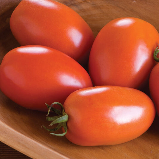 Roma Tomatoes (1.5 lbs)
