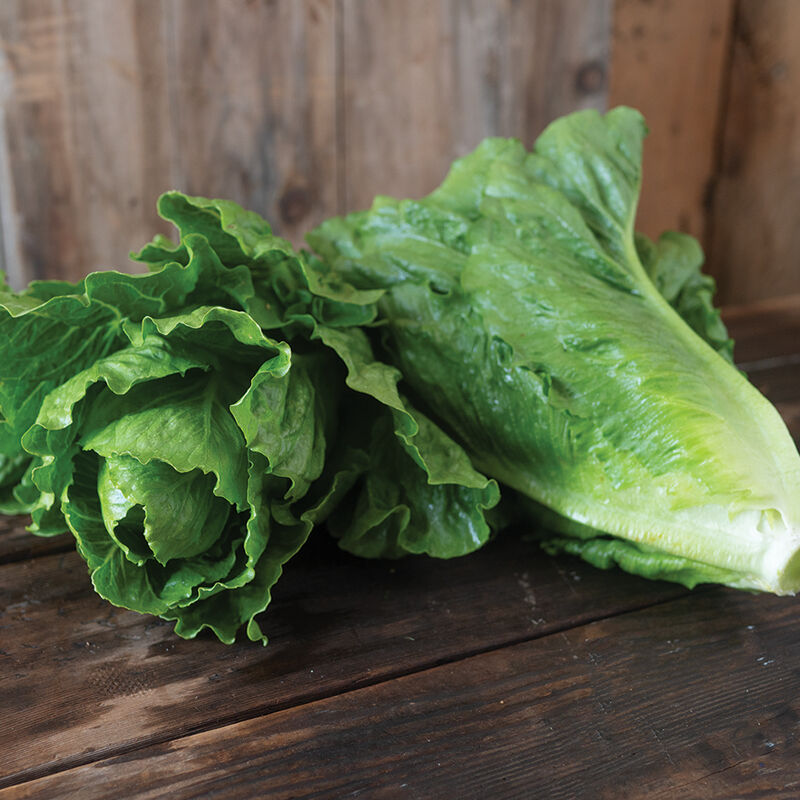 1/2lb - Romaine Lettuce