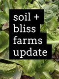 ----Summer Farm Update