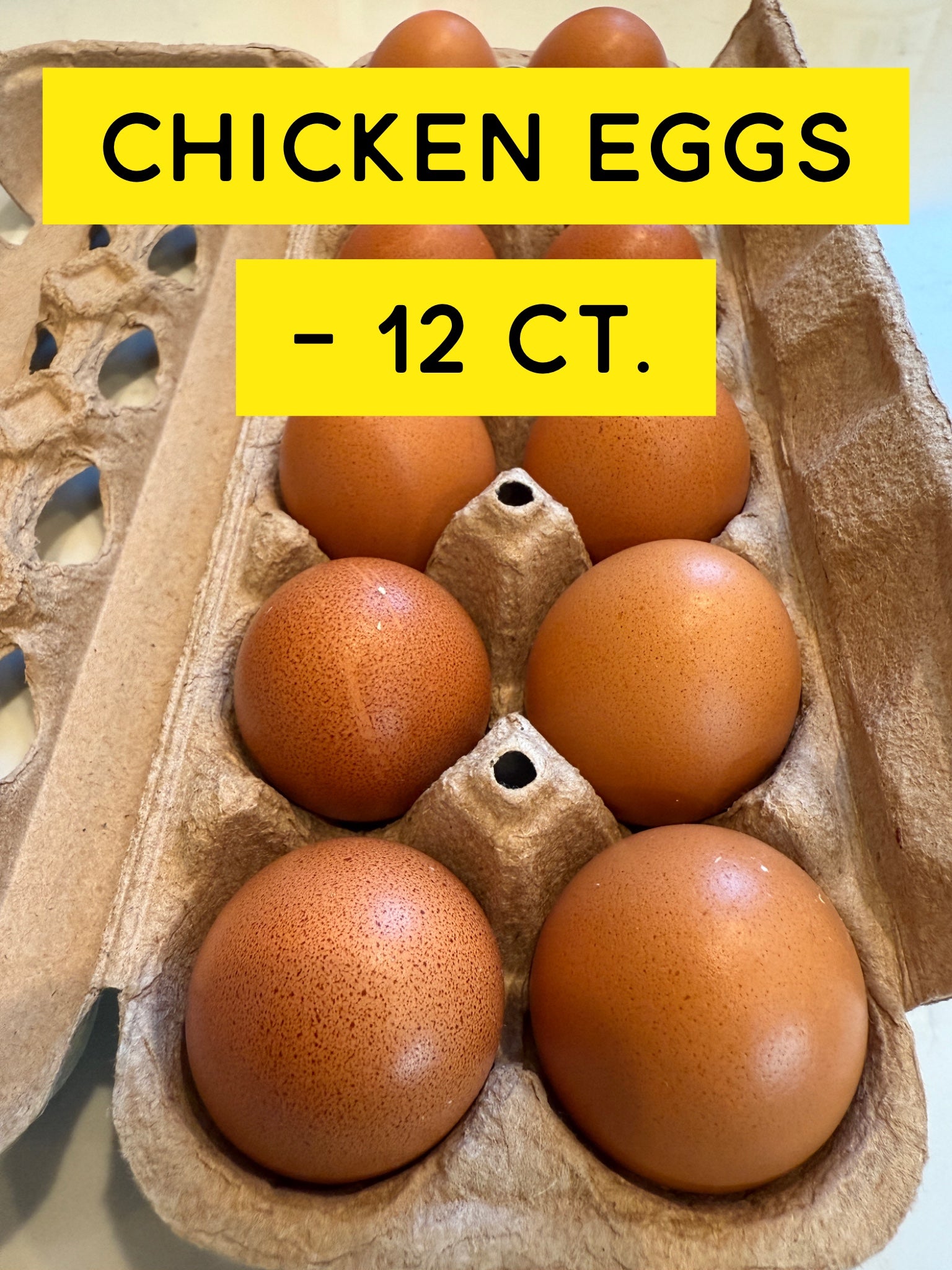 12 Chicken EGGS (Read Description!)