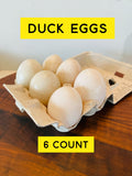 6 Count DUCK EGGS (Read Description!)