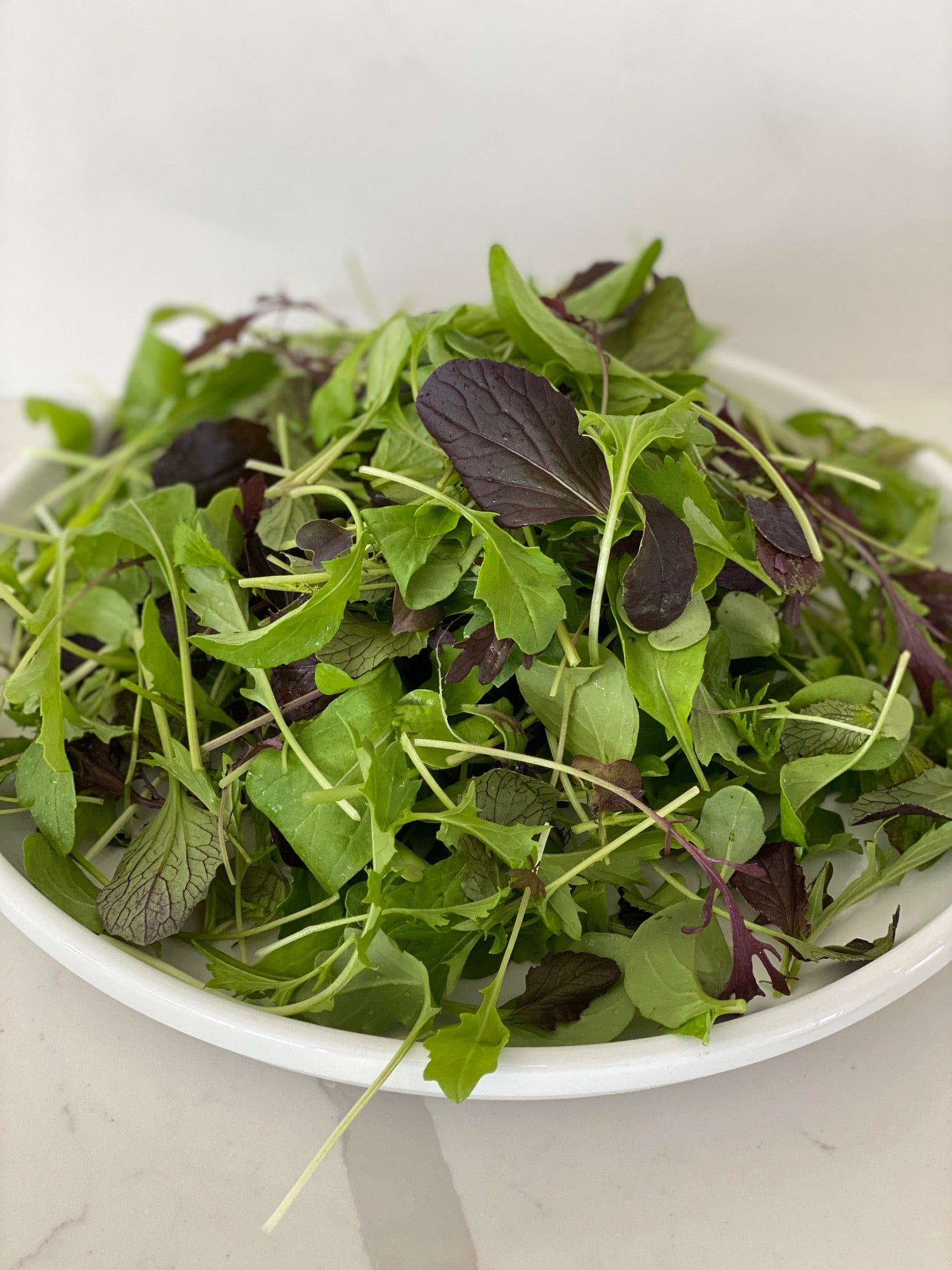 NEW! 1/2lb - Spring Mix