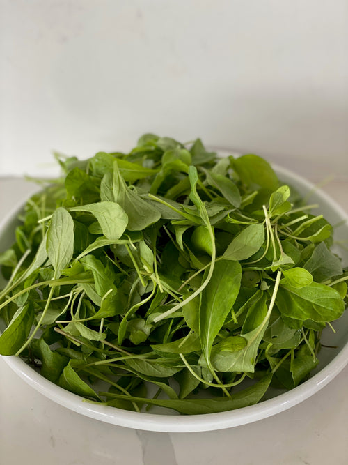 1/2lb - Baby Arugula