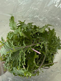 1/2 lb Baby Kale