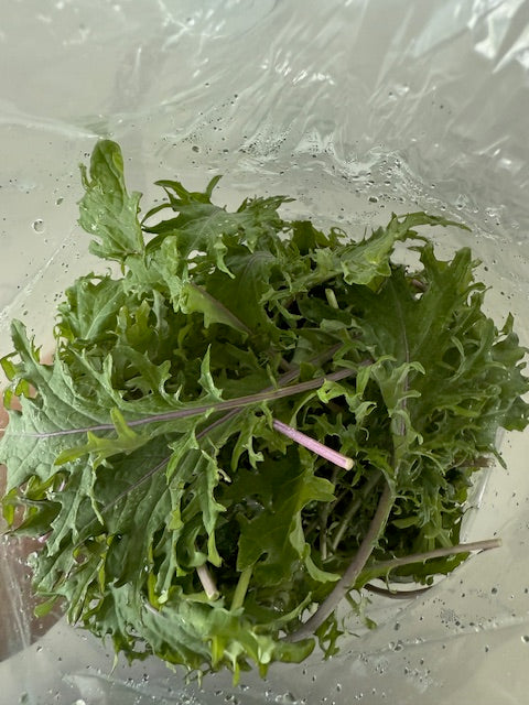 1/2 lb Baby Kale