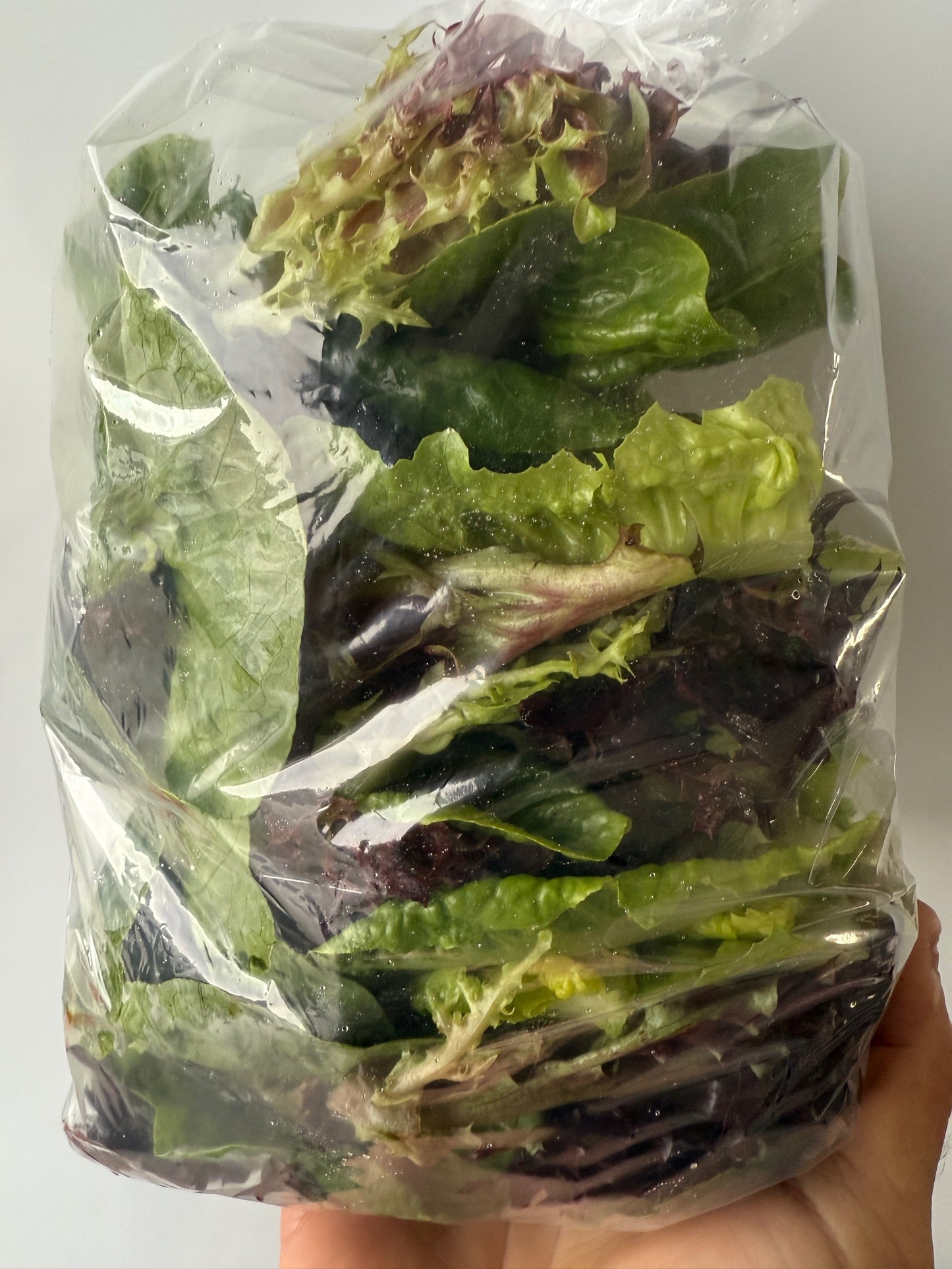 Romaine & Lettuce Mix (1/2 lb.)