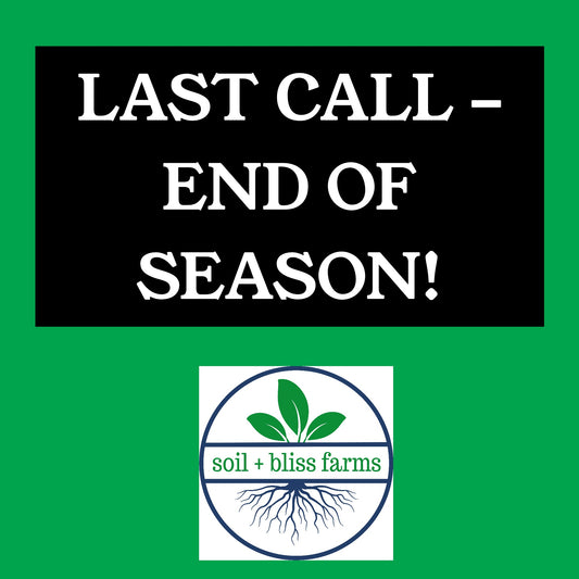 *Grab items while you can!