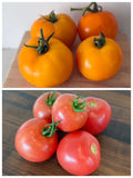 Slicer Tomatoes! - (2lbs)