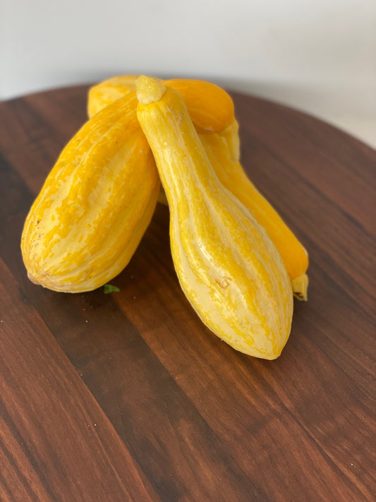 Yellow Squash Mix (1.5lbs)